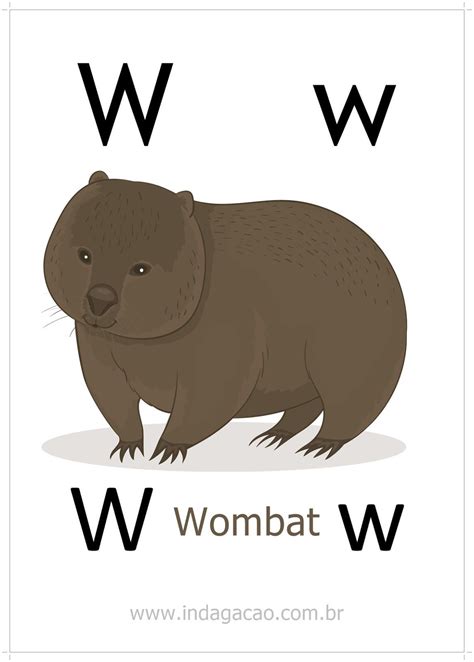 Alfabeto Animal: Letra W