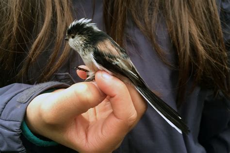 Mya-Rose Craig – 13º Congreso Aviturismo – Birdwatching Congress