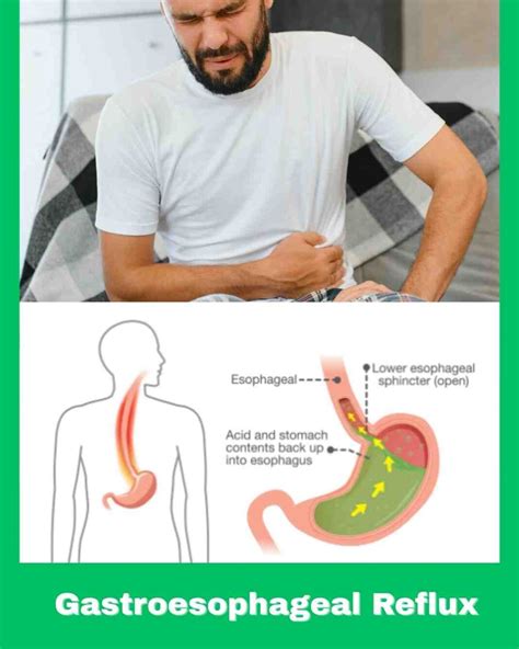 Are Bananas Acidic? pH Levels, Digestion, Acid Reflux & Alkalinity
