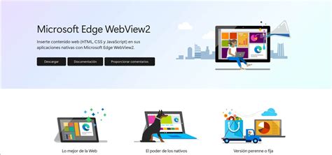 Edge WebView2 Features 的图像结果
