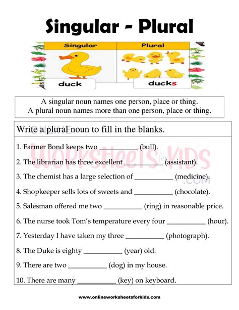 Plural and Singular Worksheet: Practice Sheets for English Grammar
