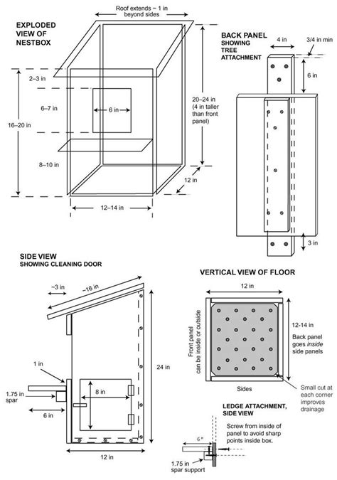 Squirrel House Plans: An In-Depth Guide - House Plans