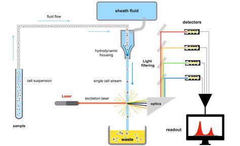 Flow Cytometry Tutorial 的图像结果