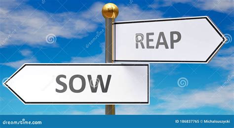 Sow and Reap As Different Choices in Life - Pictured As Words Sow, Reap ...
