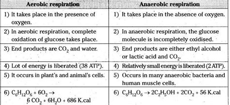 Difference between the aerobic respiration and anaerobic respiration ...