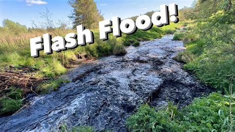 Exploding Beaver Dam 的图像结果