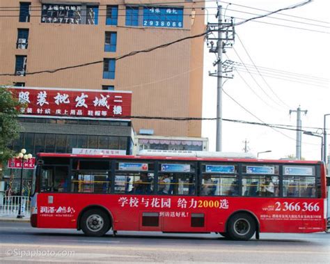 西安最“牛”公交车，横跨7区直达8个景区