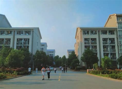 美呆了！带你看南华大学雨母校区的新风貌！-搜狐大视野-搜狐新闻