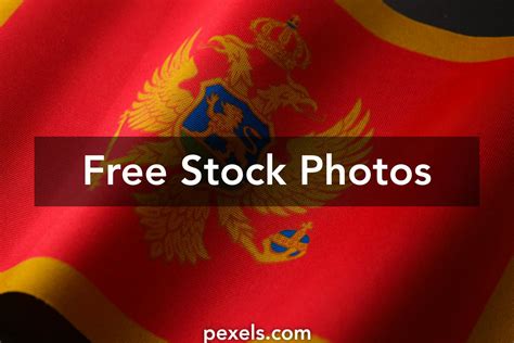 Political Background 的图像结果