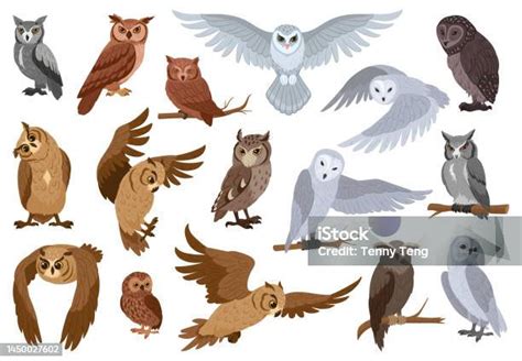 Image result for Basic Computer Class Pics
