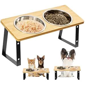 Smartoo Stainless Steel Elevated Cat Bowls - 15 Raised, Anti Vomiting ...