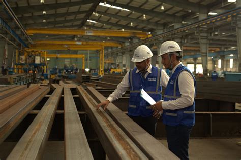 Steel 的图像结果