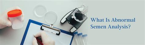 Abnormal Semen Analysis: What’s The Next Step?