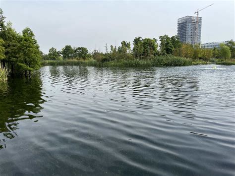 江苏南通：加快推进现代水网建设 到2025年建成100个城市河道公园,南通网-南通新闻－资讯－生活首选门户