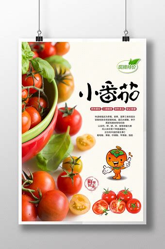 小番茄PSD果蔬海报设计_站长素材