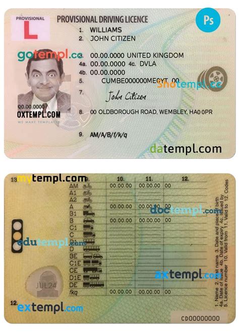 Image result for Provisional Driver License