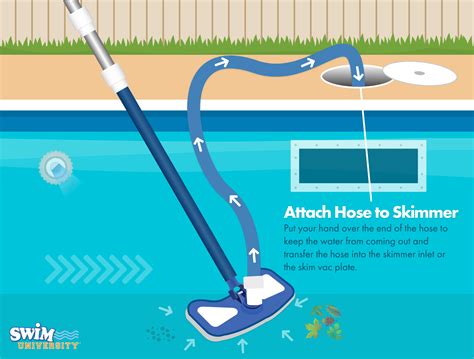 Using a Pool Vacuum 的图像结果