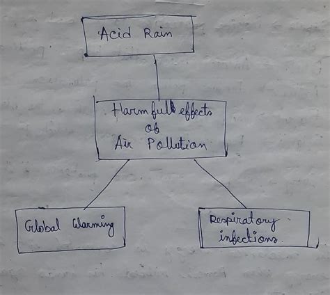 draw a web chart on three Ham full effects of air pollution it is ...