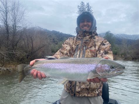 Trinity River Fish Report - Trinity River - Trinity River hot steelhead ...