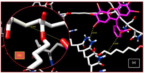 Cleaning of Wastewater Using Crosslinked Poly(Acrylamide-co-Acrylic ...