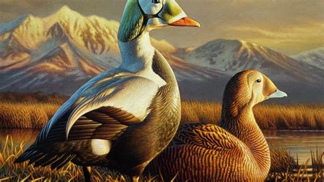 A Connecticut Museum Shows How Ducks Have Helped the Planet - The New York Times