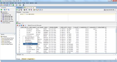 Export Connections SQL Developer 的图像结果