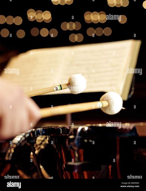 Timpani Kettle Drum at Myrtle Sturm blog