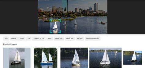 Bing Visual Search 的图像结果