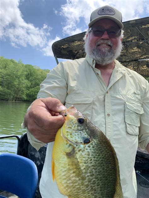 Image result for Fishing Shellcrackers