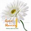 Image result for Good Morning Some Bunny Loves You