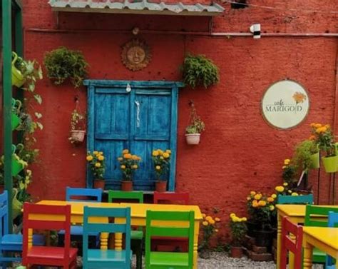 https://img.restaurantguru.com/reviews/small/w550/h367/548089.jpg