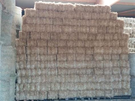 Heu Verkauf | Reitanlage & Heu Verkauf Fockenberg | Bottrop-Kirchhellen