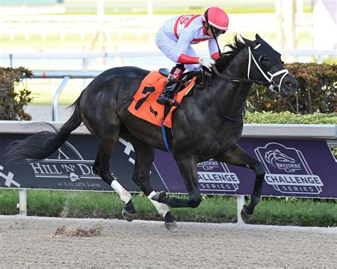 Shisospicy on Standby, Bentornato on Track for Dubai - BloodHorse