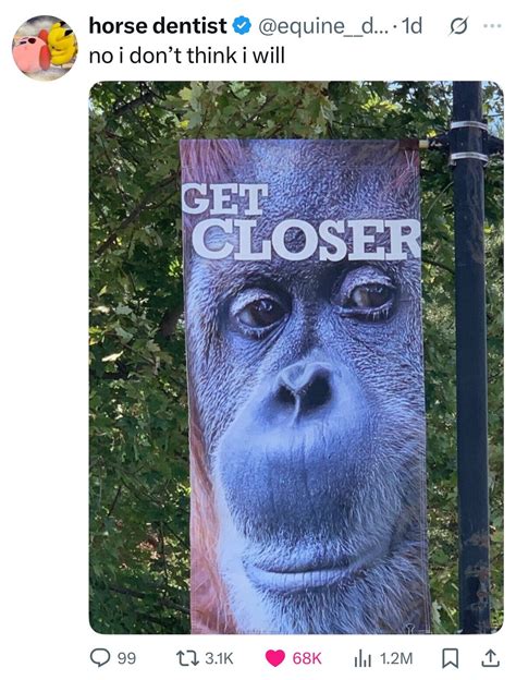 53 of the Meanest Burns from the Month of September 2025 | Cracked.com