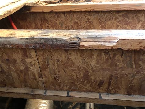 Perfect Floor Joist Repair Plates For Modern Homes