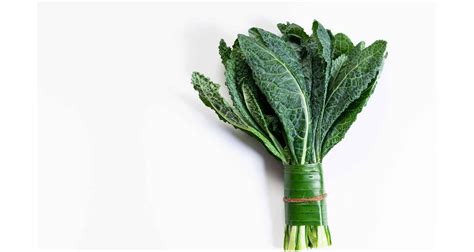 How Much Is a Bunch of Kale? - Practical Cooks