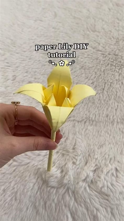 Origami Lily Tutorial 的图像结果