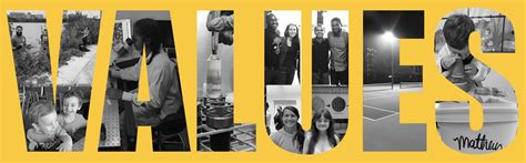 Image result for Concept Fox Lab GBC Lab Victor Lab