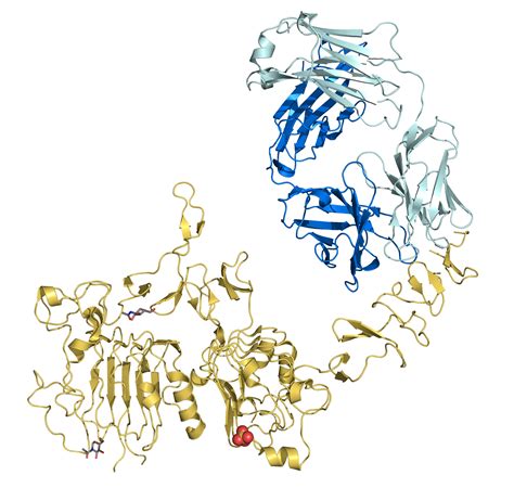 The Wire: The Wire News India, Latest News,News from India, Politics ...