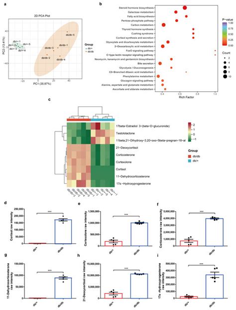 Higher Steroid Production in the Right Adrenal Gland Compared to the ...