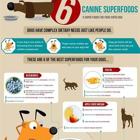 https://breedingbusiness.com/wp-content/uploads/2015/04/canine-dogs-superfood-e1428251092349.jpg