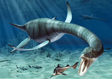 Facts and Figures About Plesiosaurus, the Long-Necked Marine Reptile