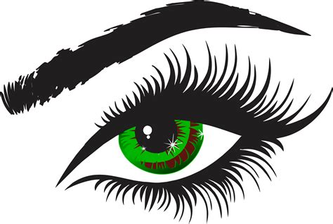 Eye Lashes Clip Art
