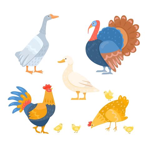 turkey farms #3441042 | Clipart Library