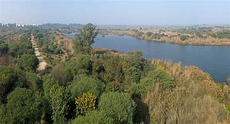 NGT Directives: Asbestos Regulation and Air Pollution Control in India