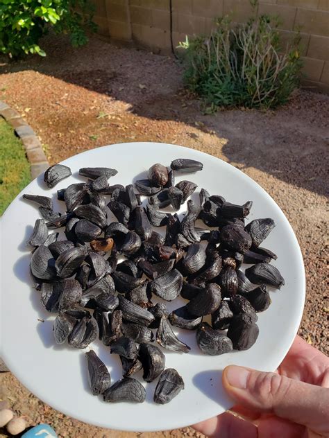 Black Garlic is really black! Did these in an instapot : r/fermentation