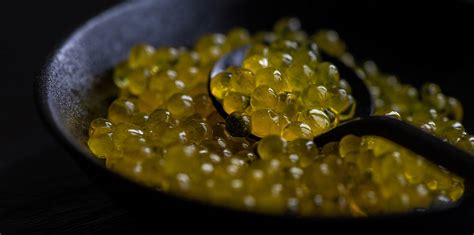 Nutrition facts, health benefits, possible side effects, recipes and more