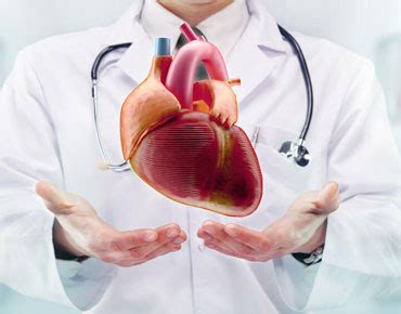 Nectar Hospital || Home