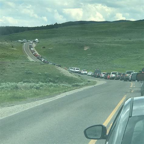 Grand Loop Road (Yellowstone National Park): All You Need to Know