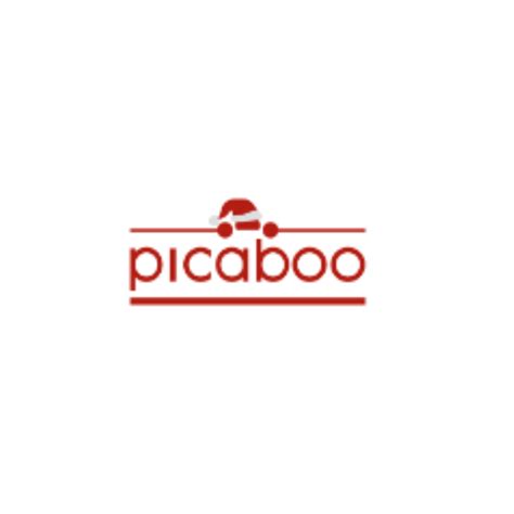 Image result for Picaboo Tutorial
